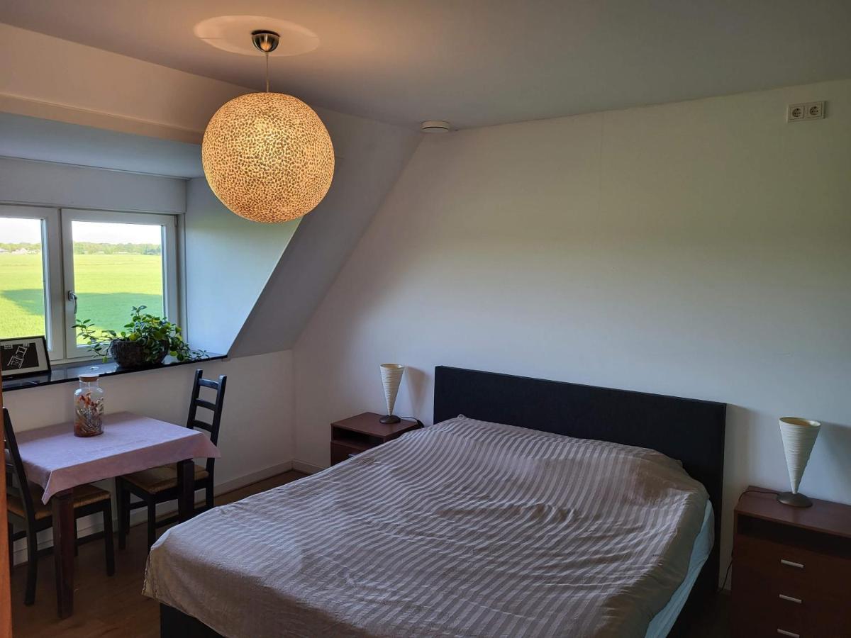 Terschuur Bed & Breakfast De Vink מראה חיצוני תמונה